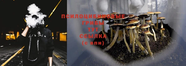 шишки Ростов