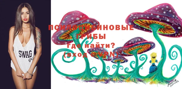 шишки Ростов