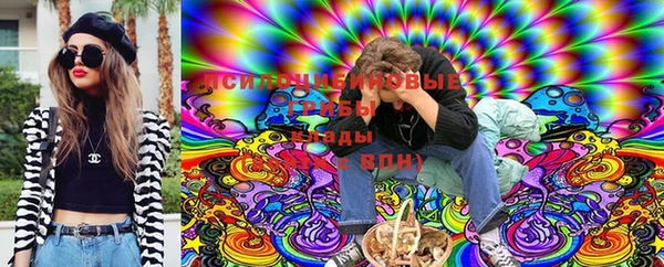 сатива Вуктыл