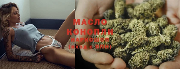 сатива Вуктыл