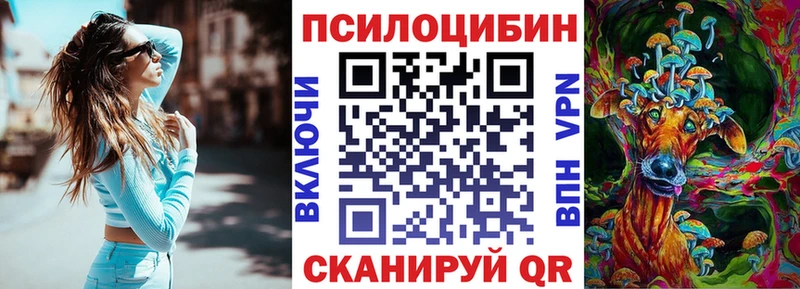 Псилоцибиновые грибы Psilocybine cubensis  Ачхой-Мартан 